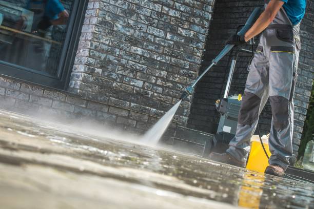Best Animal Enclosure Cleaning  in Moss Bluff, LA